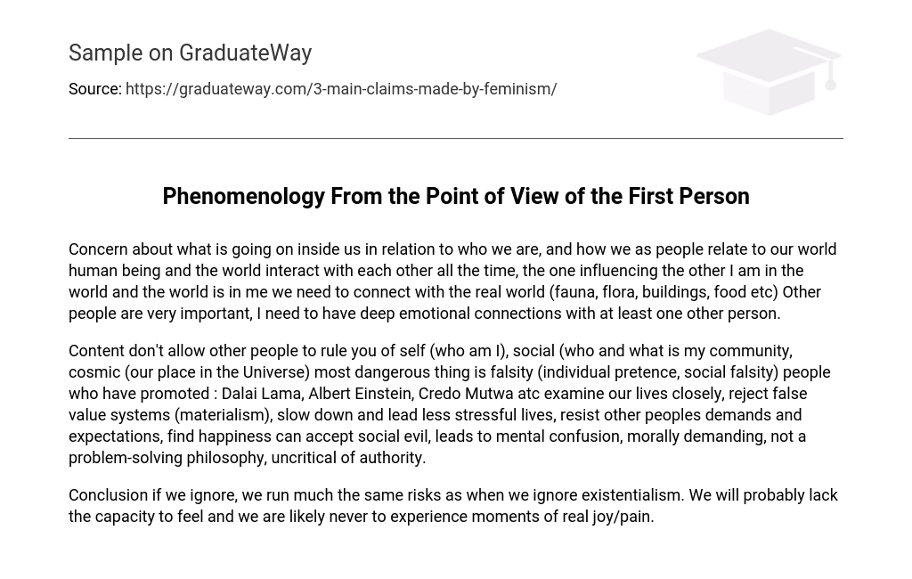 Phenomenology From the Point of View of the First Person