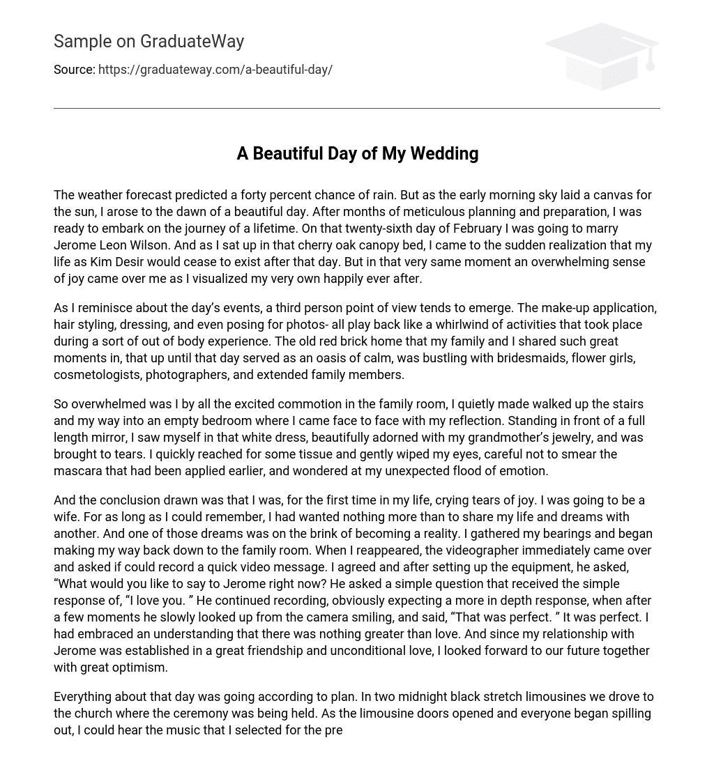 a beautiful day essay