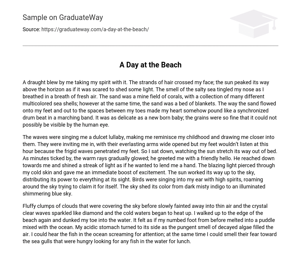 how do you write a day at the beach essay