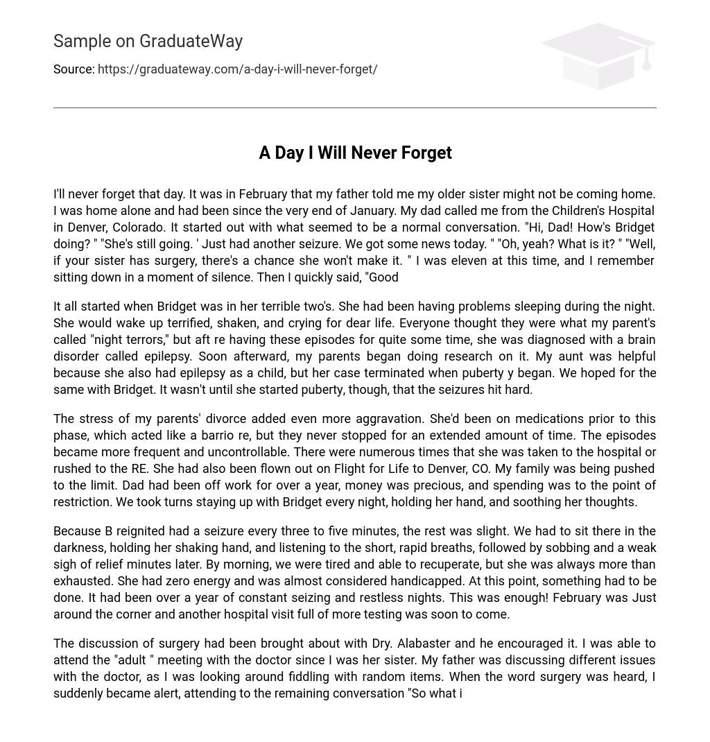 essay about a journey you will never forget