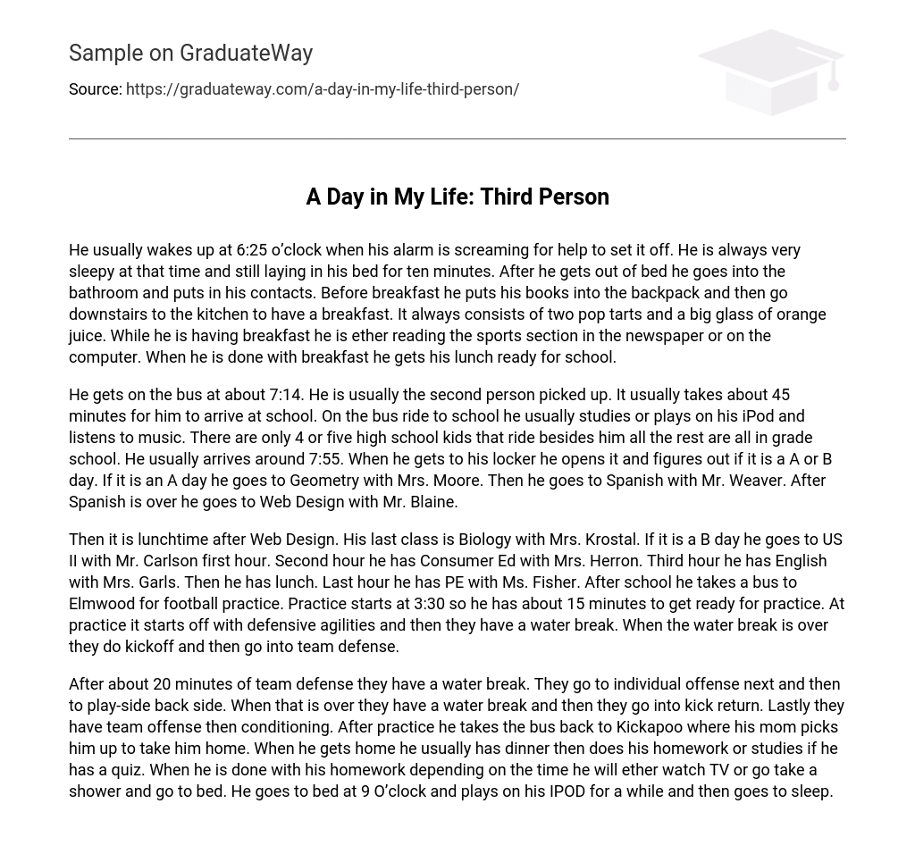  A Day In My Life Third Person Narrative Essay Essay Example GraduateWay