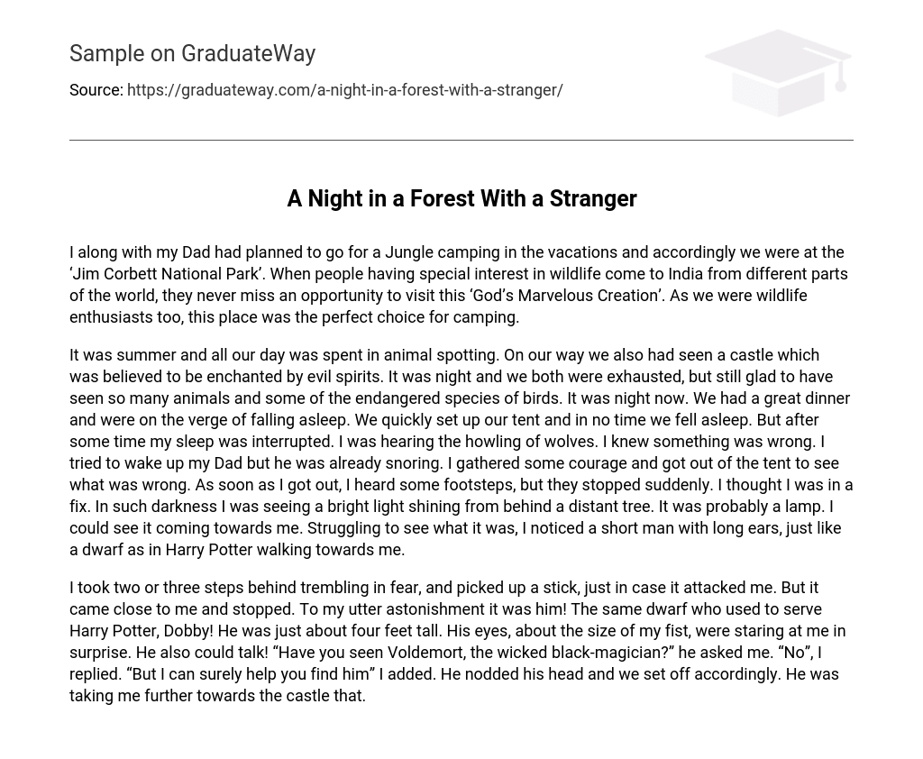 A Night in a Forest With a Stranger