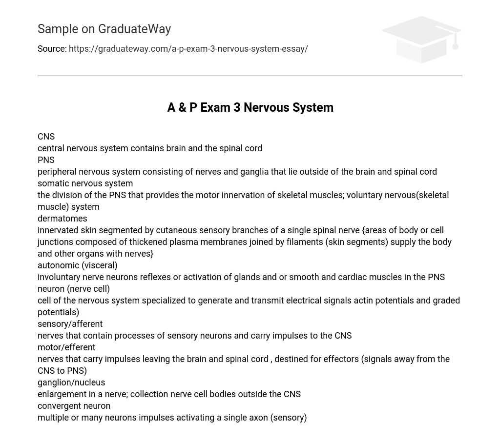 A & P Exam 3 Nervous System