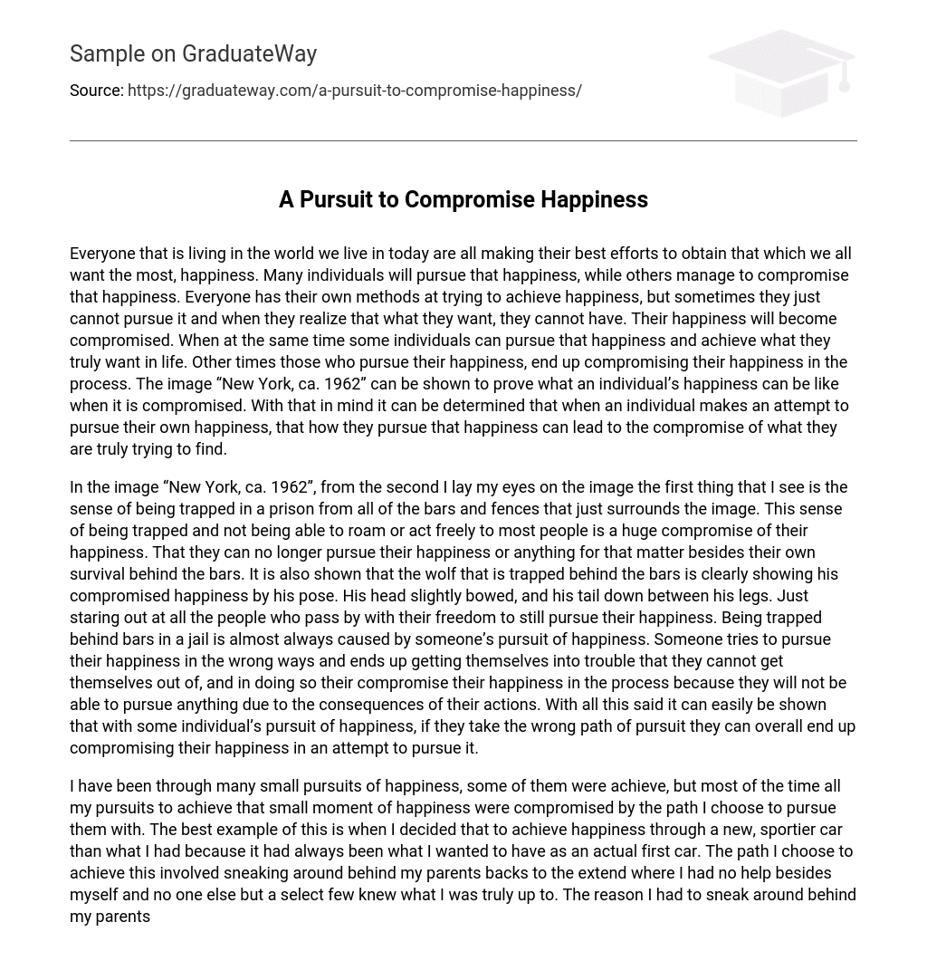 A Pursuit to Compromise Happiness