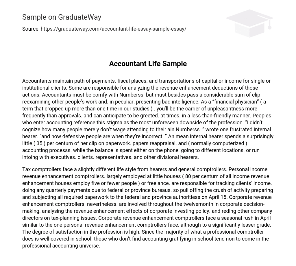 Accountant Life Sample