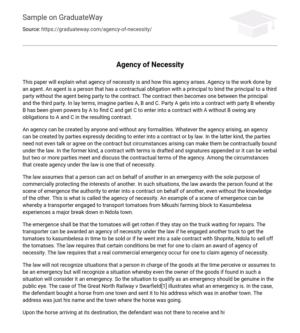 Agency of Necessity Short Summary