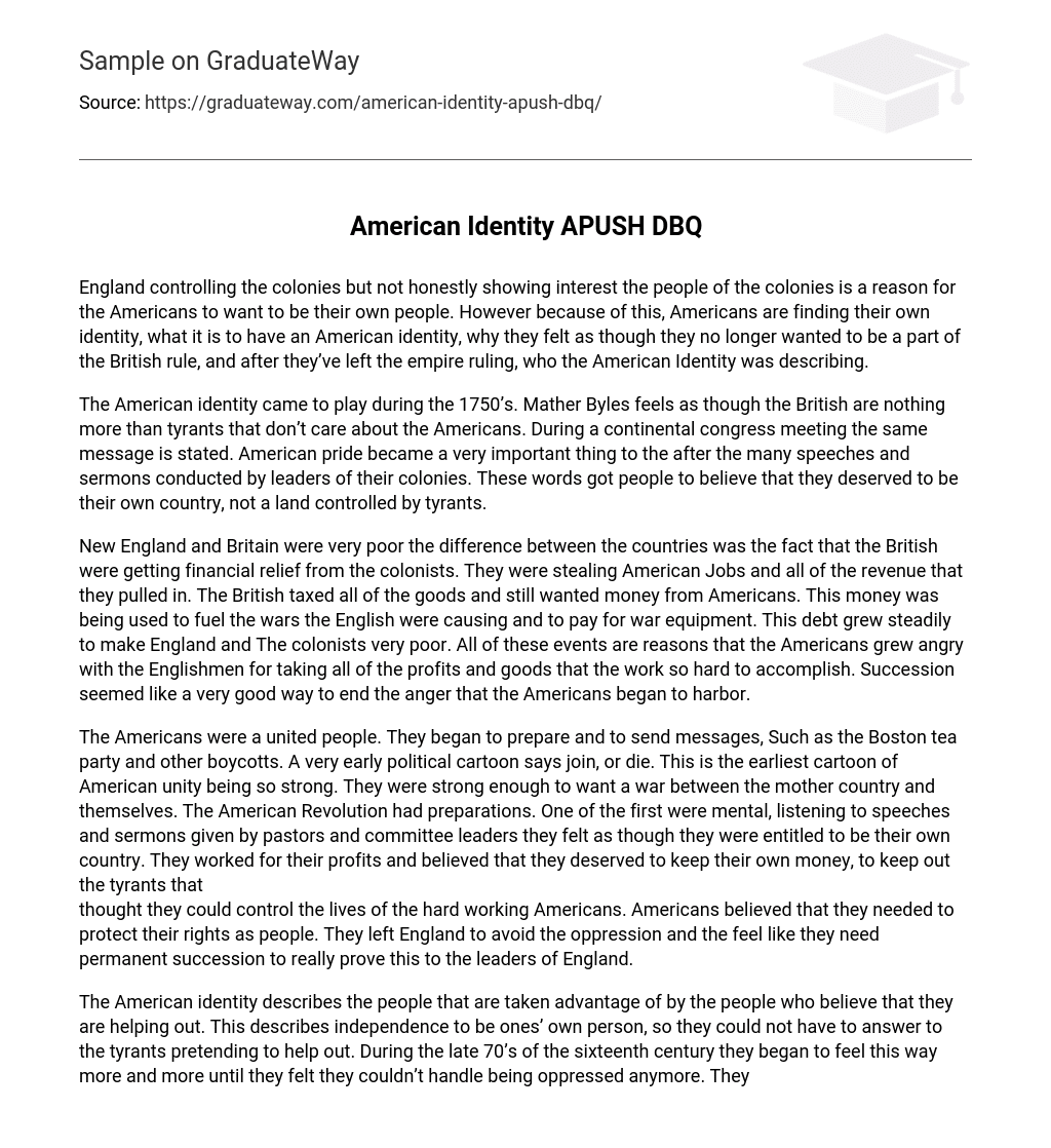 essay on american identity