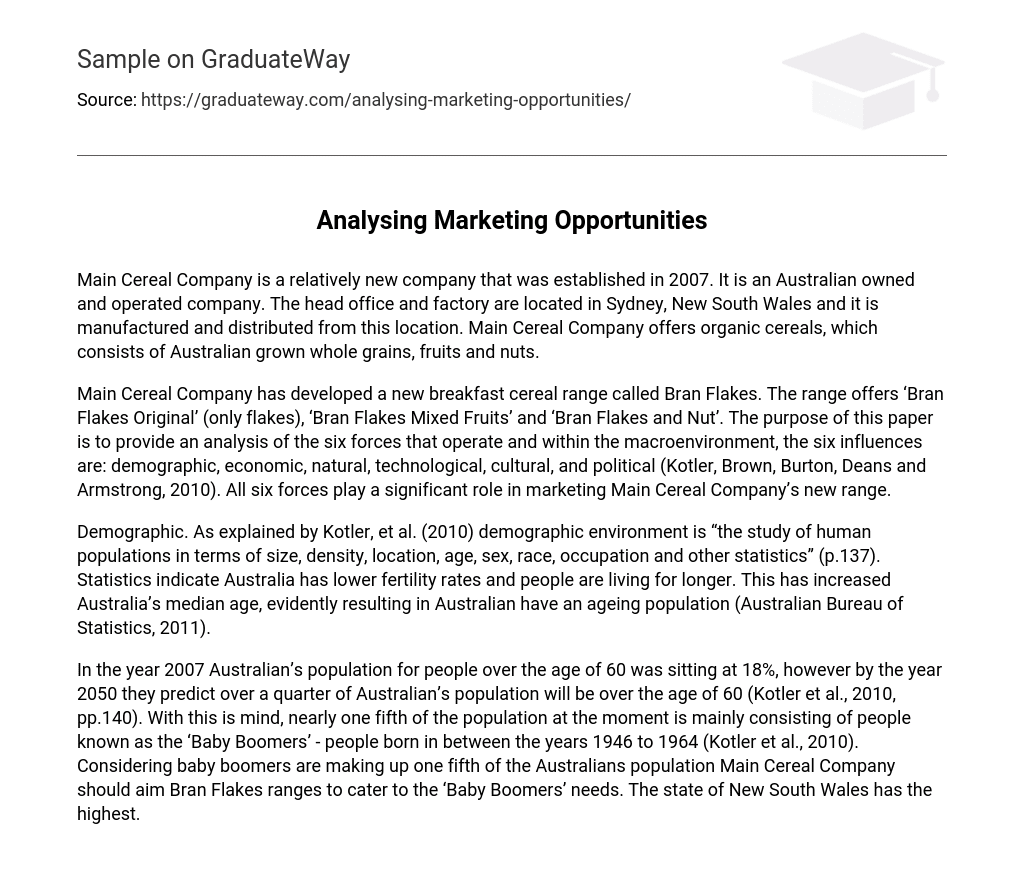 Analysing Marketing Opportunities