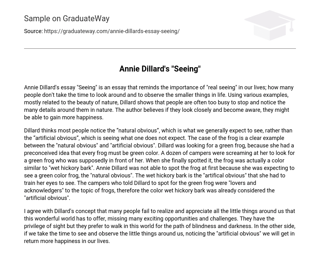 Annie Dillard’s “Seeing” Analysis