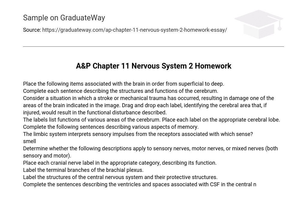 A&P Chapter 11 Nervous System 2 Homework
