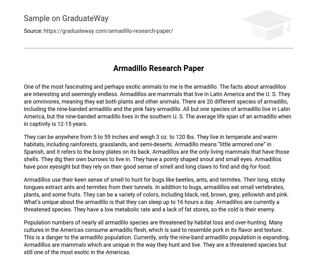 Armadillo Research Paper