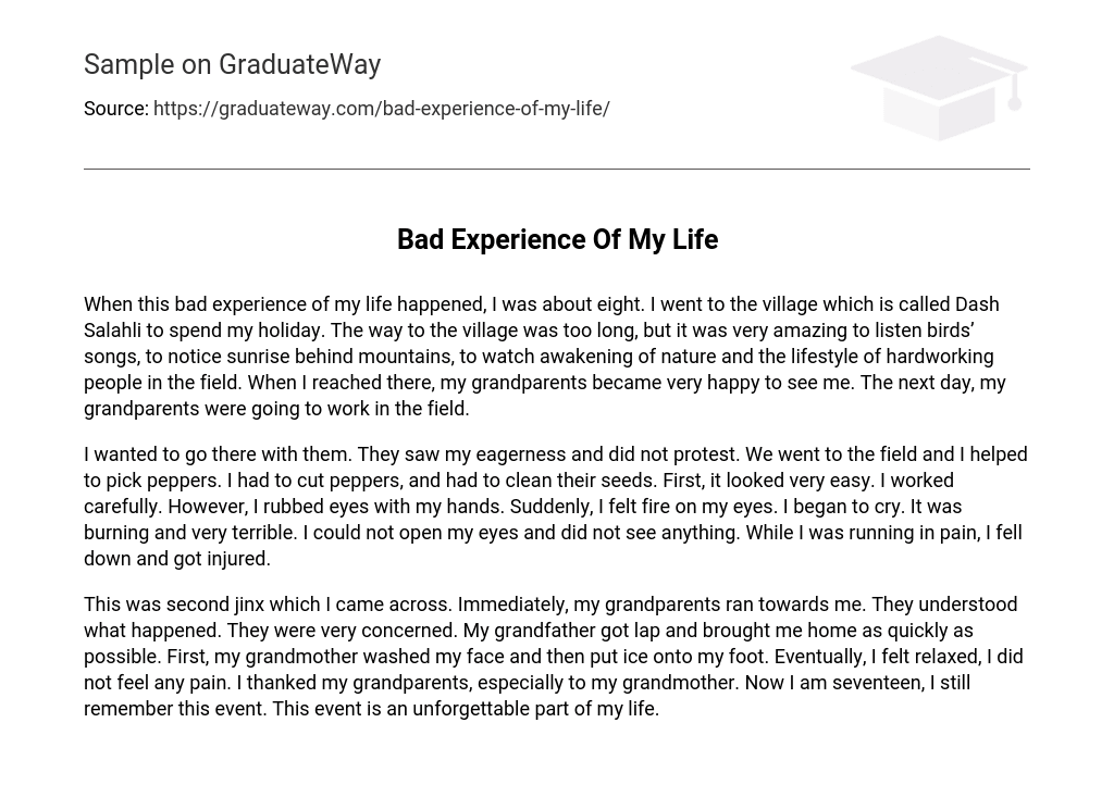  An Essay About Life Experiences An Amazing Essay About Experience In 