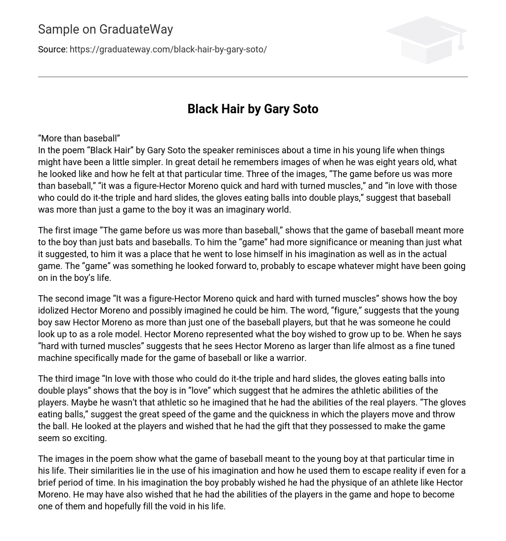 Black Hair by Gary Soto Free Essay Example 505 words | GraduateWay