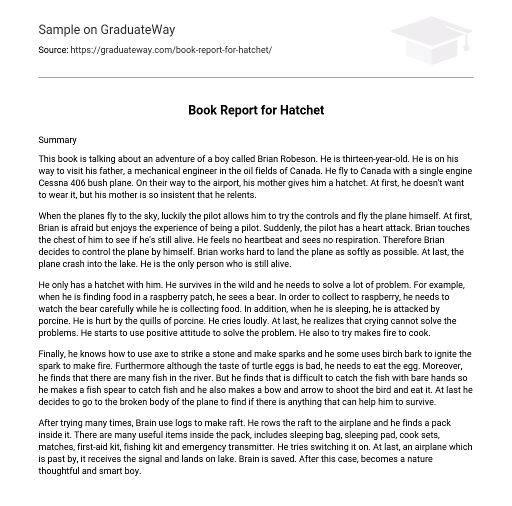 Book Report for Hatchet