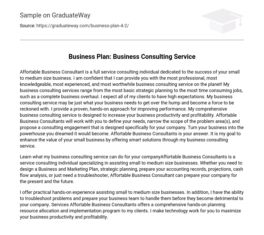 Business Plan: Business Consulting Service