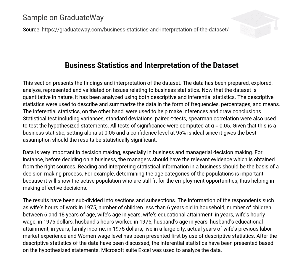 Business Statistics and Interpretation of the Dataset