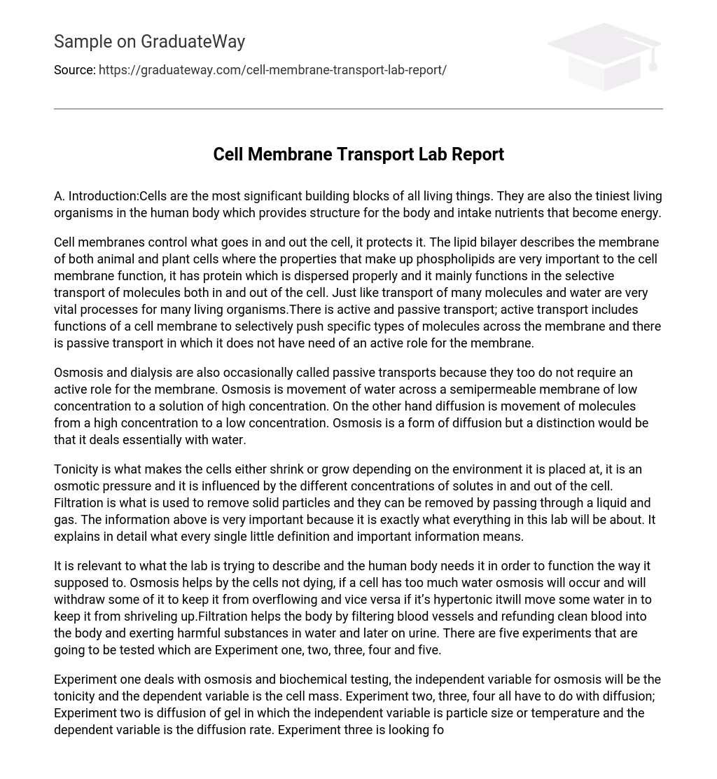 Cell Membrane Transport Lab Report