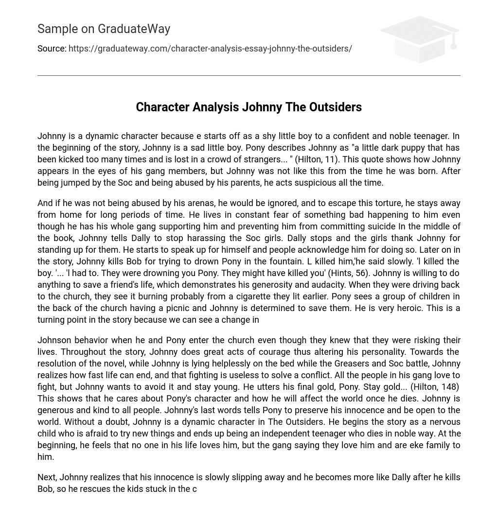 Character Analysis Johnny The Outsiders