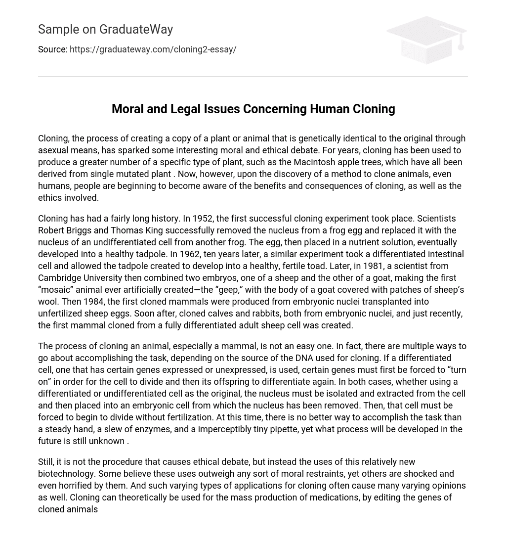 Moral and Legal Issues Concerning Human Cloning