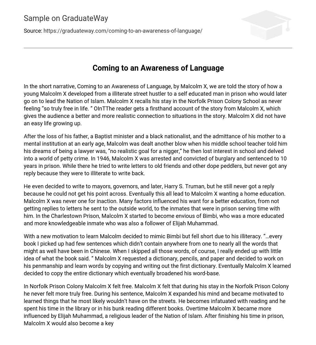 language awareness essay