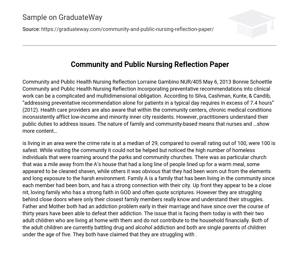 Community and Public Nursing Reflection Paper