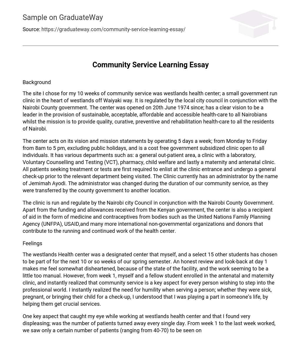 community services essay