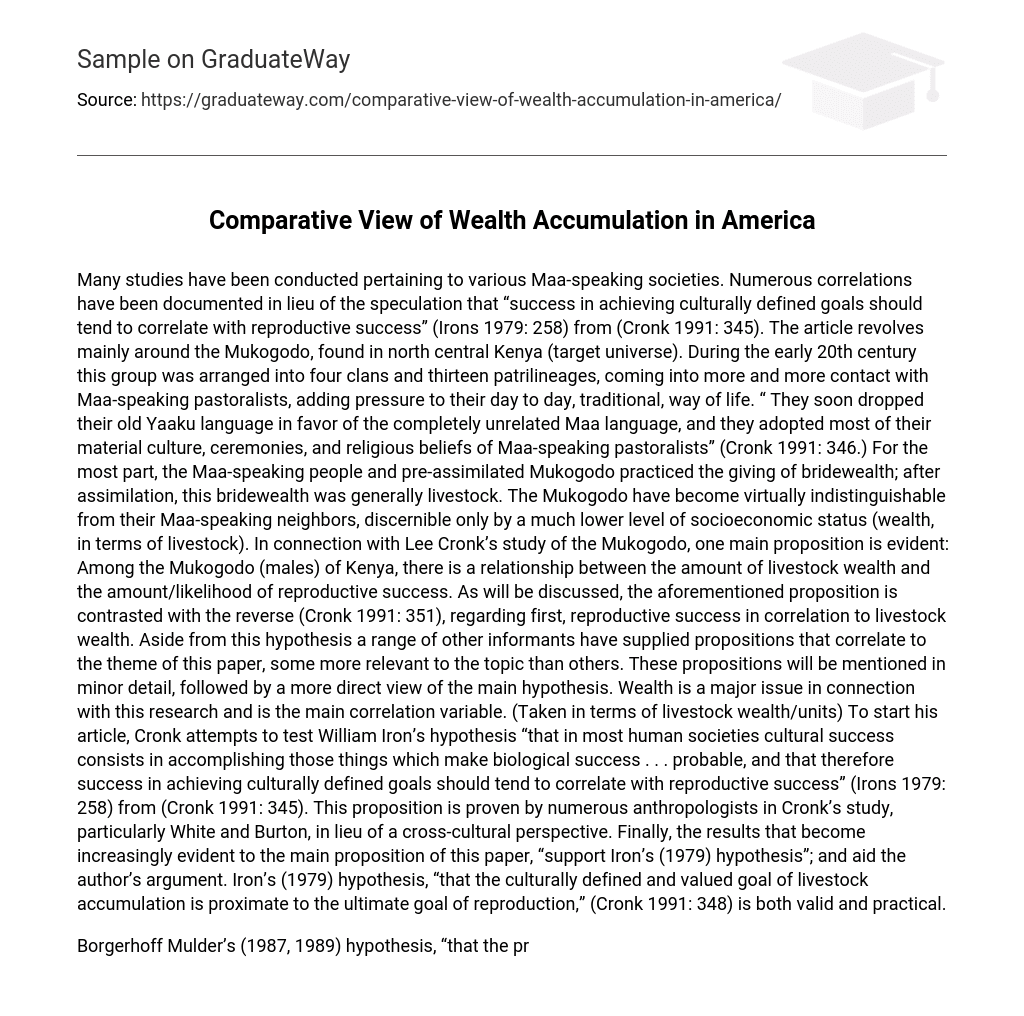 Comparative View of Wealth Accumulation in America