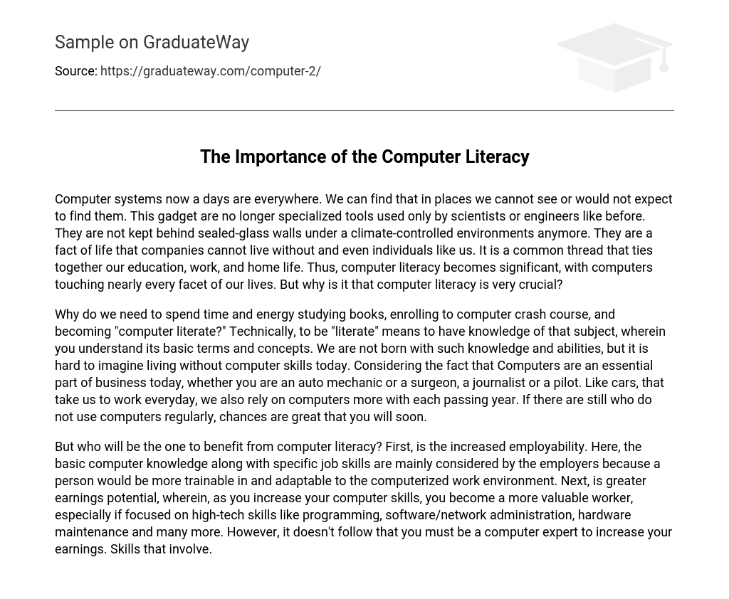 The Importance of the Computer Literacy