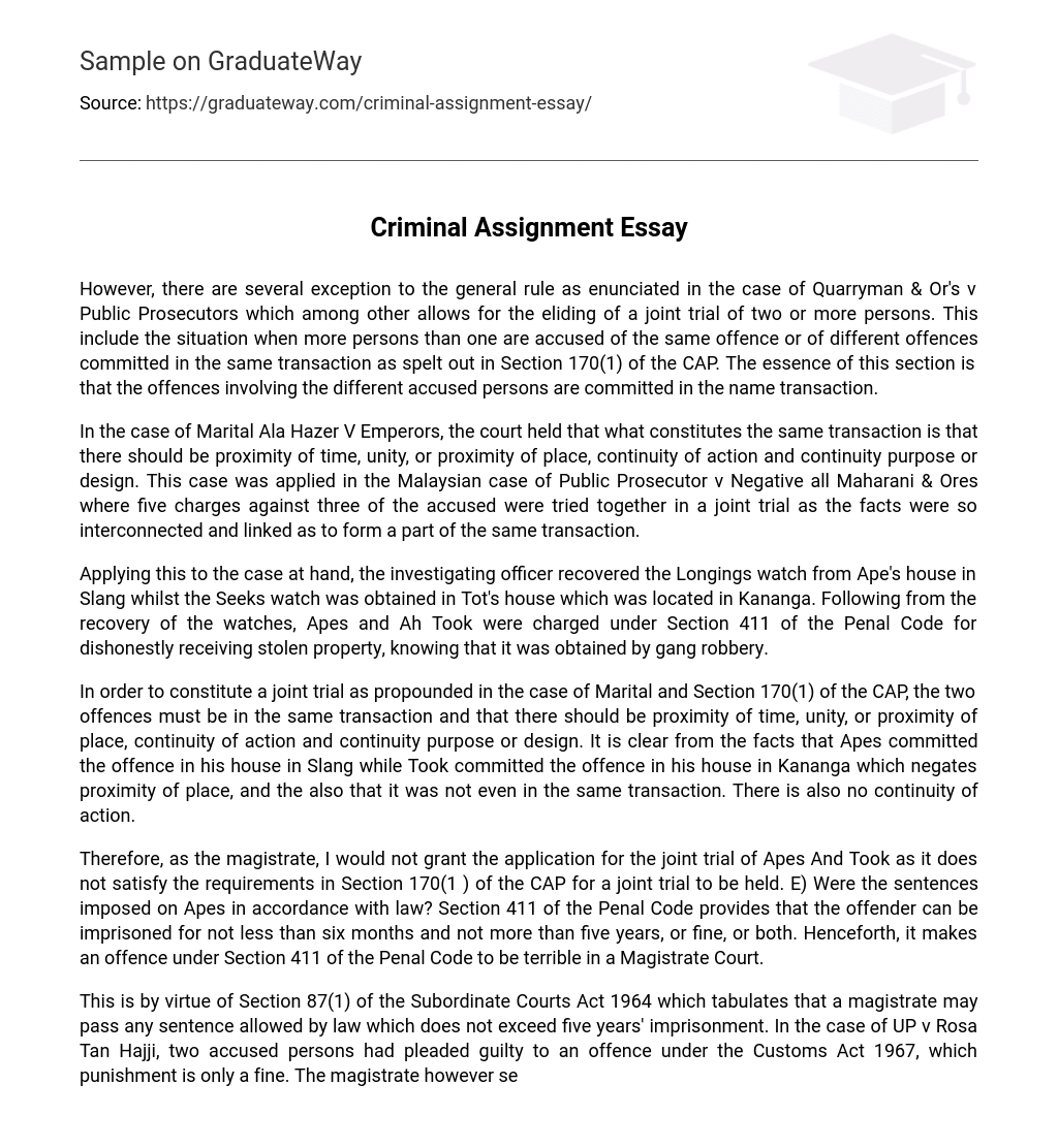 Criminal Assignment Essay