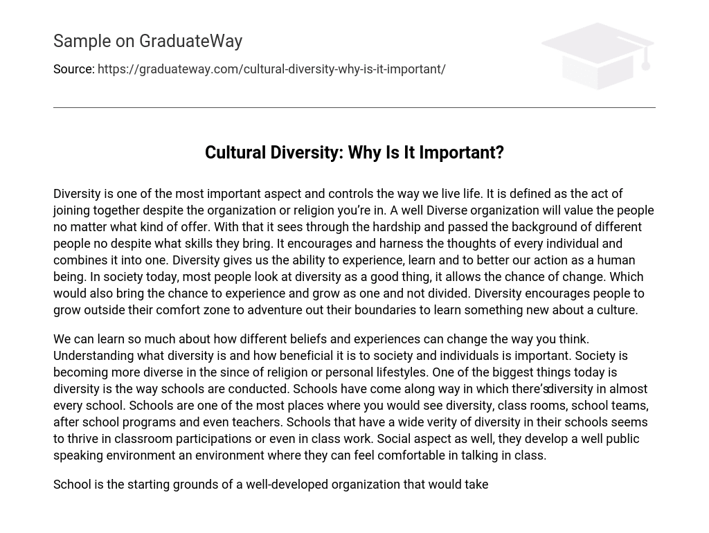 importance of cultural diversity essay