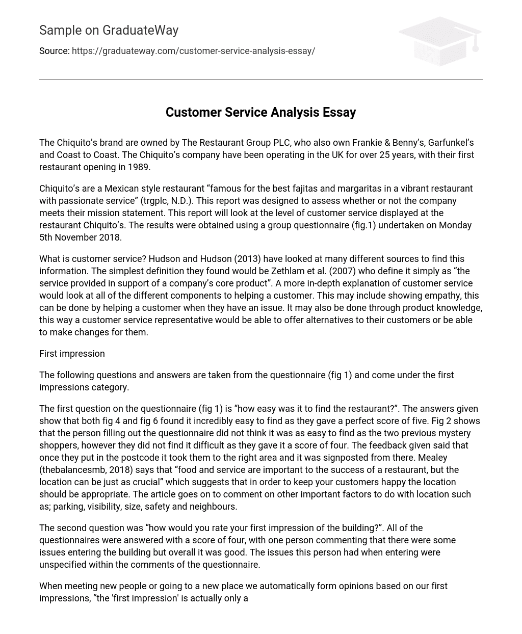 Customer Service Analysis Essay