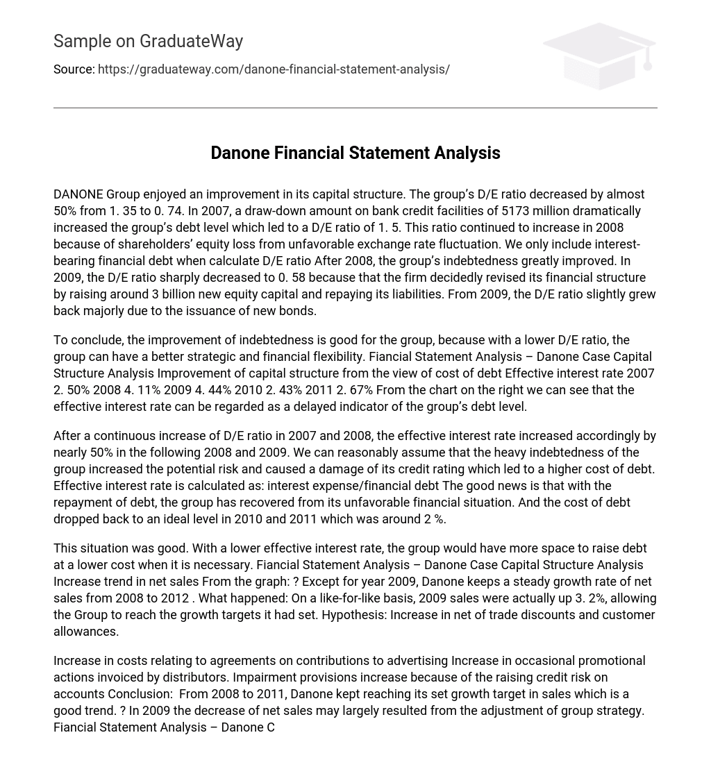 Danone Financial Statement Analysis