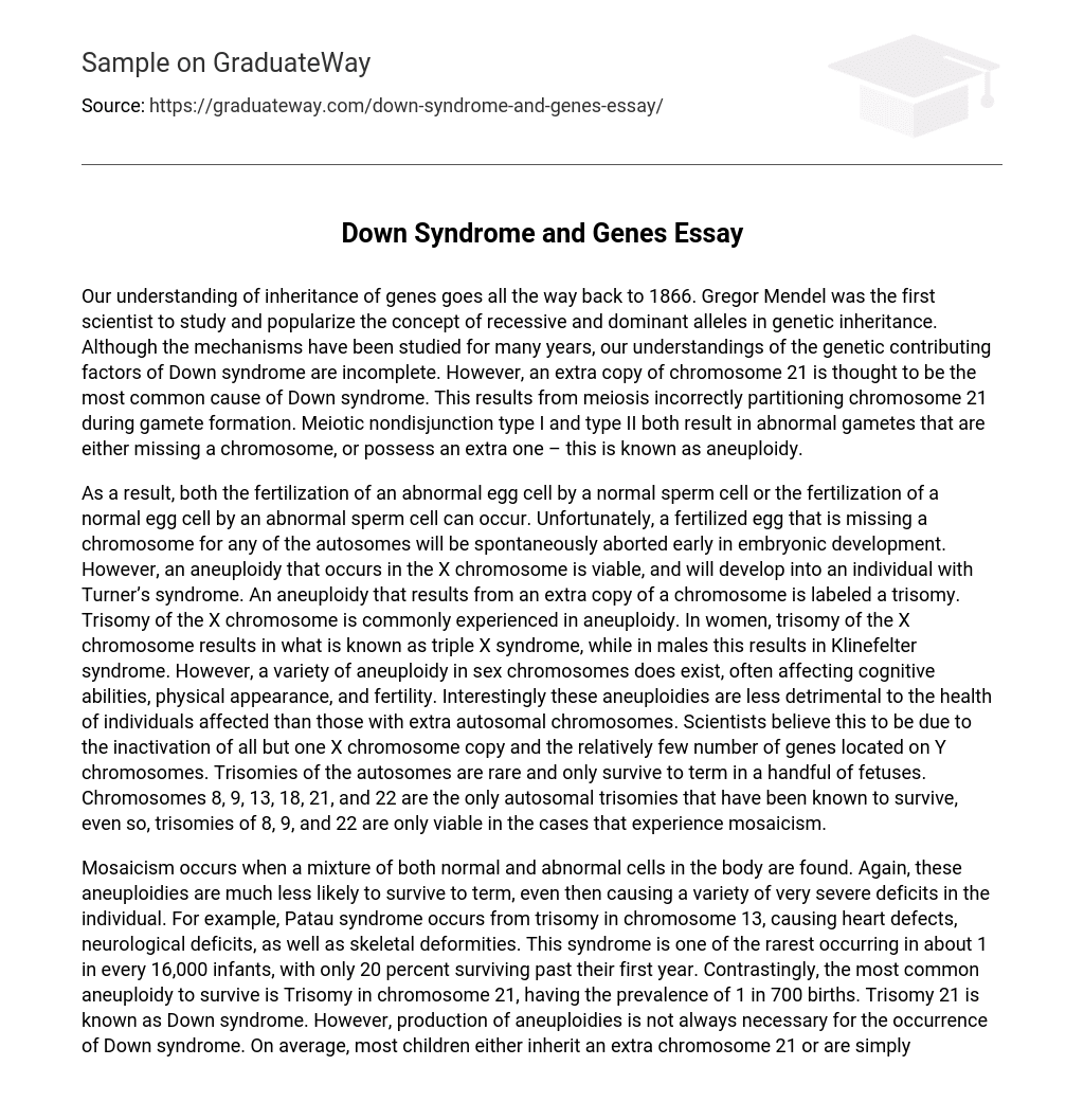 Down Syndrome and Genes Essay