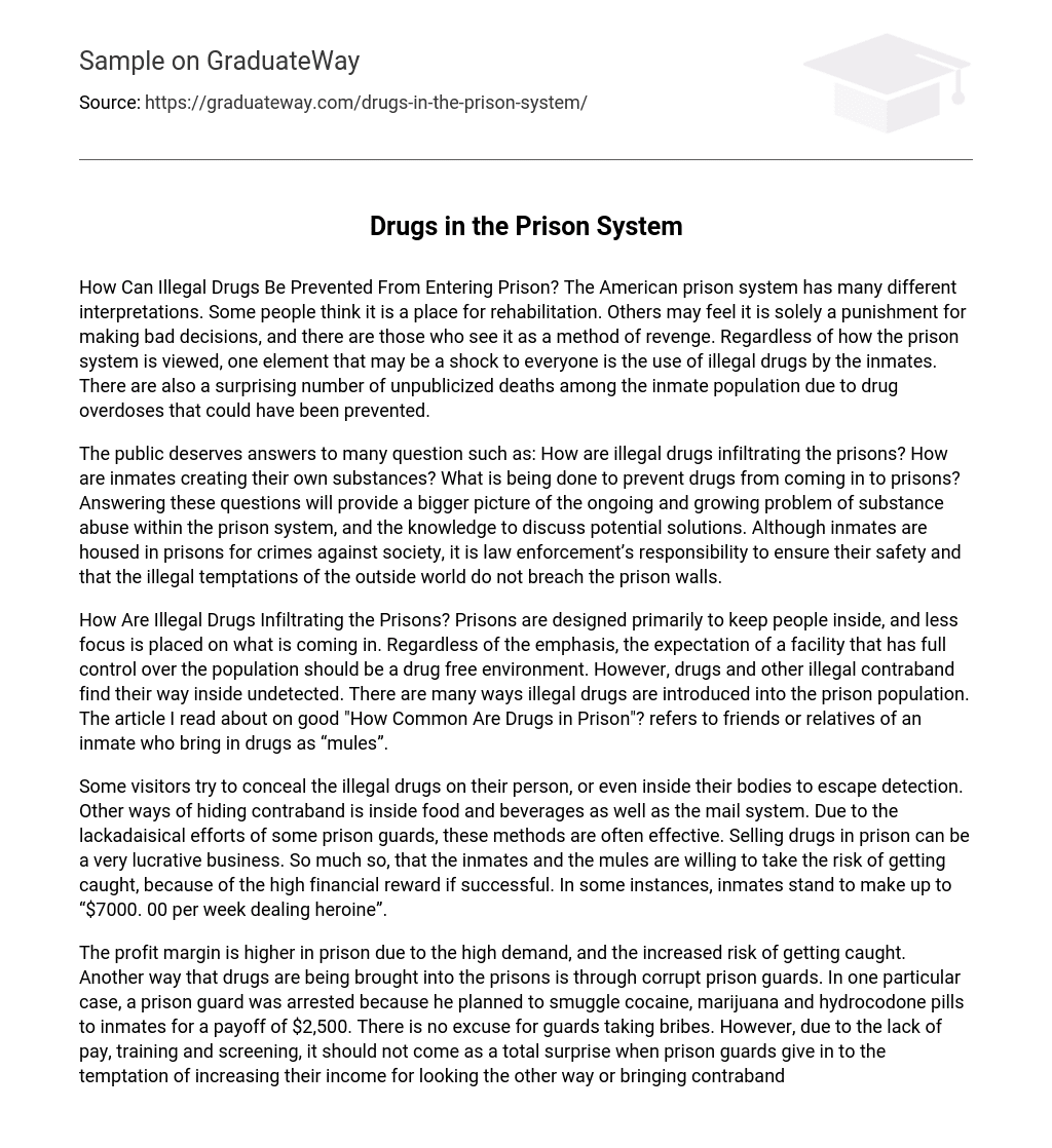 Drugs in the Prison System