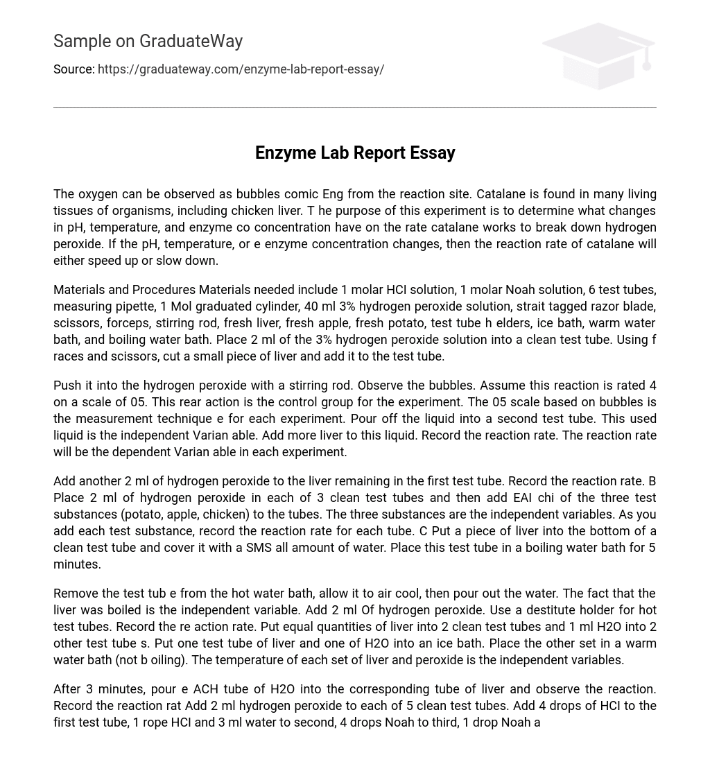 Enzyme Lab Report Essay