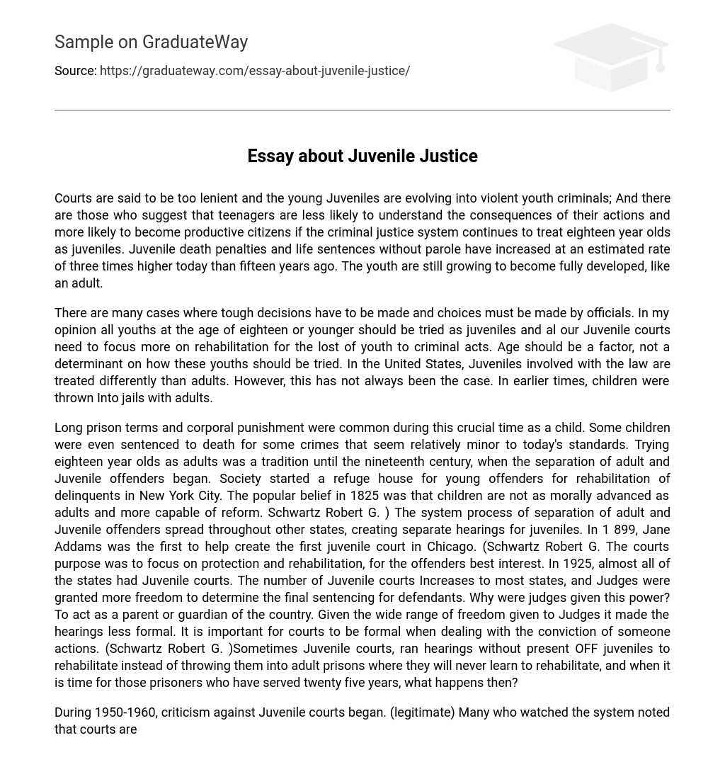 Essay about Juvenile Justice