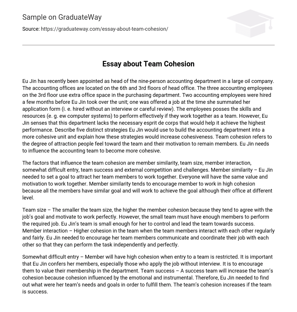 Essay about Team Cohesion