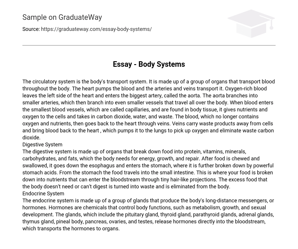Essay – Body Systems