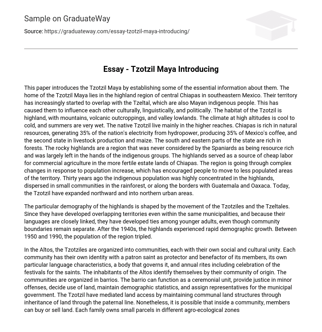 Essay – Tzotzil Maya Introducing