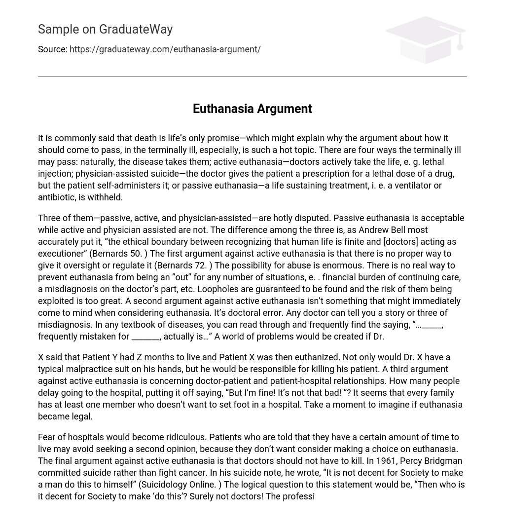 euthanasia debate essay