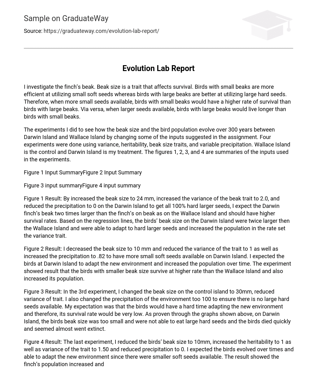 Evolution Lab Report