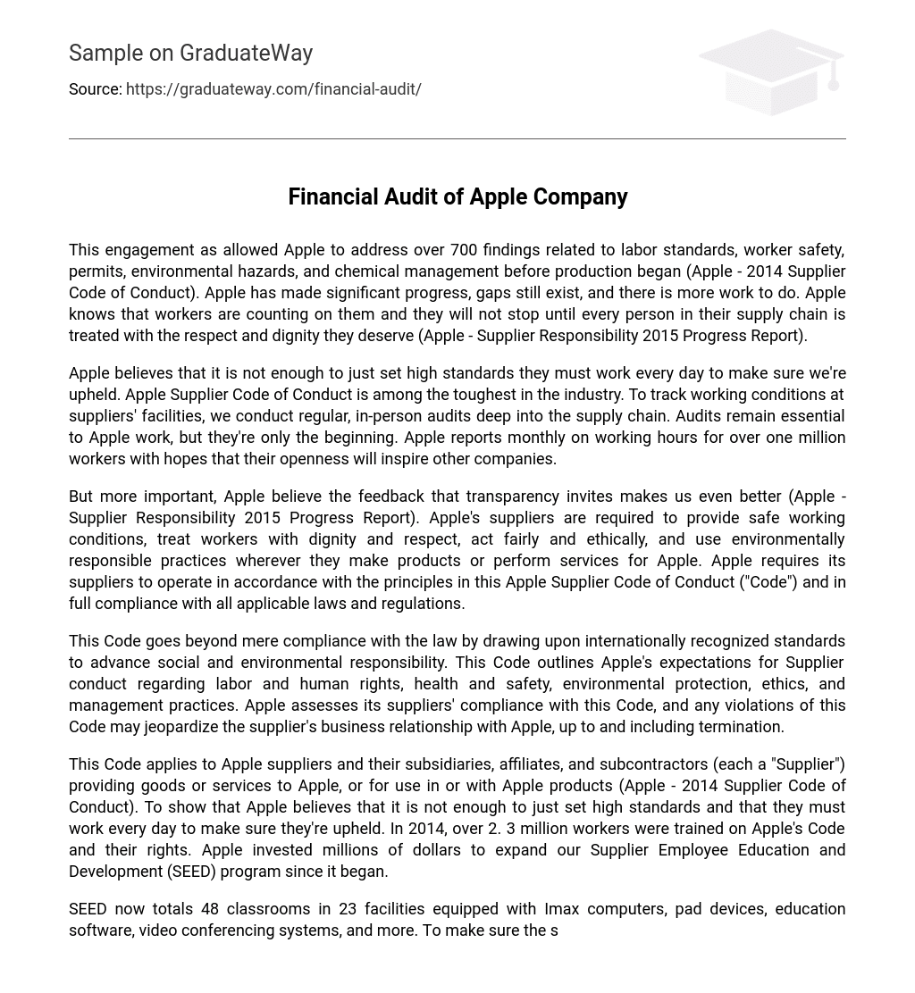 Financial Audit of Apple Company