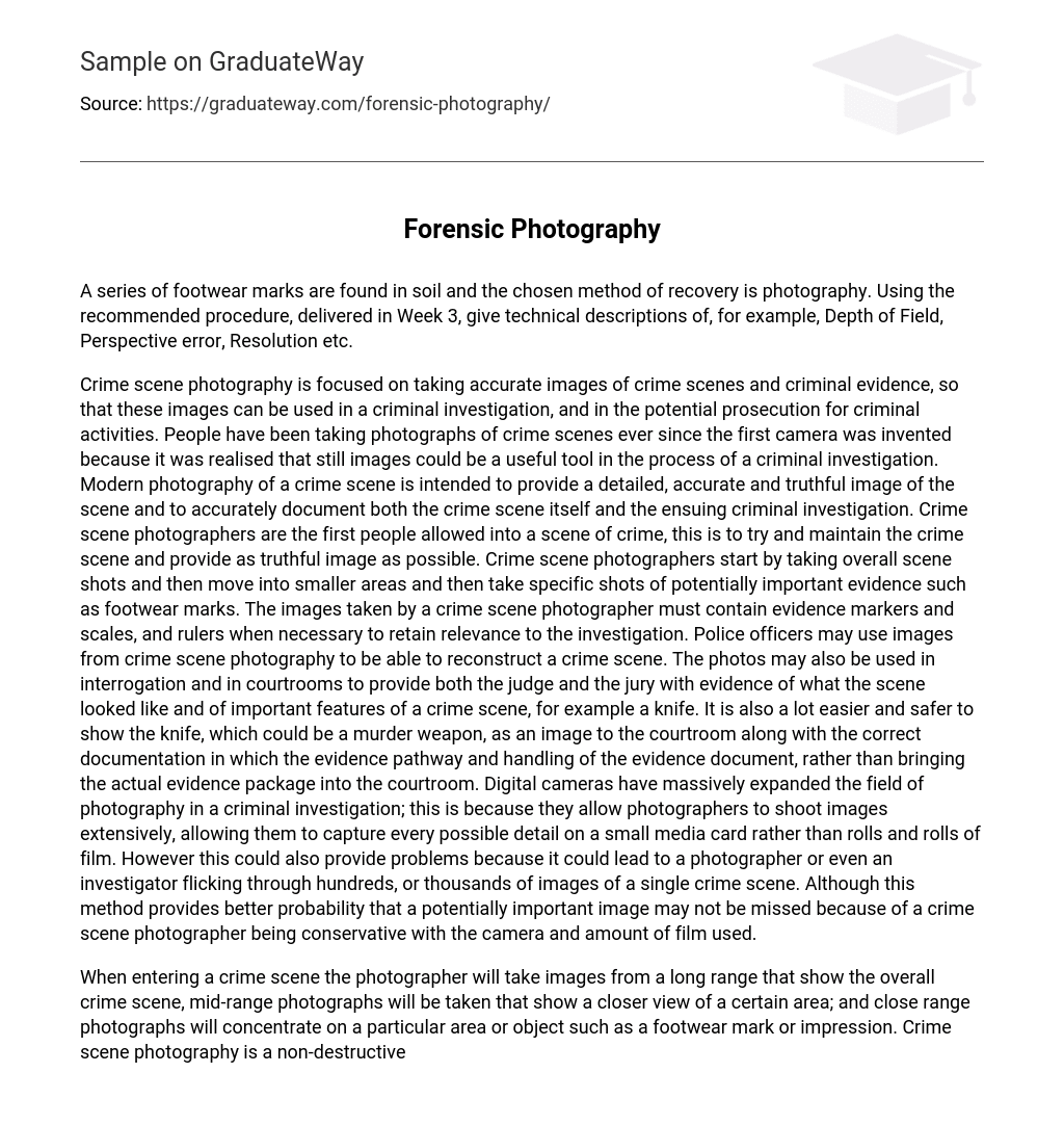 essay about forensic photography