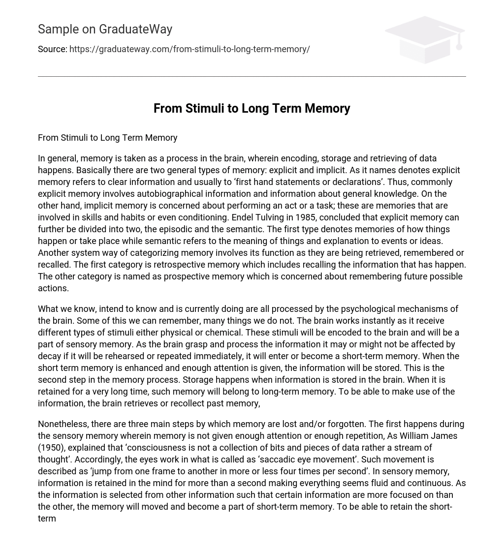 essay on long term memory