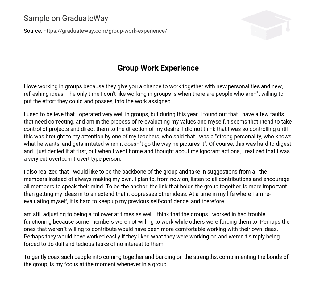 Group Work Experience