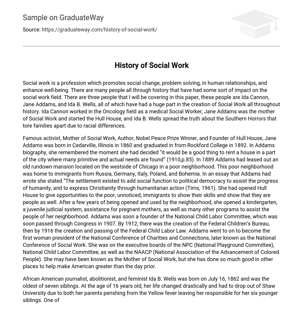 social work essay in english