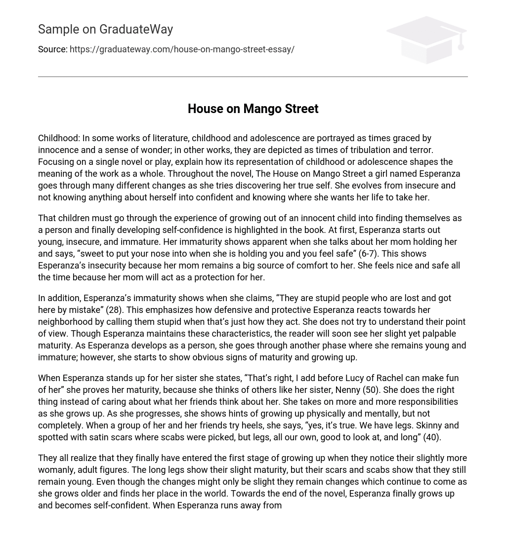 essay questions for house on mango street