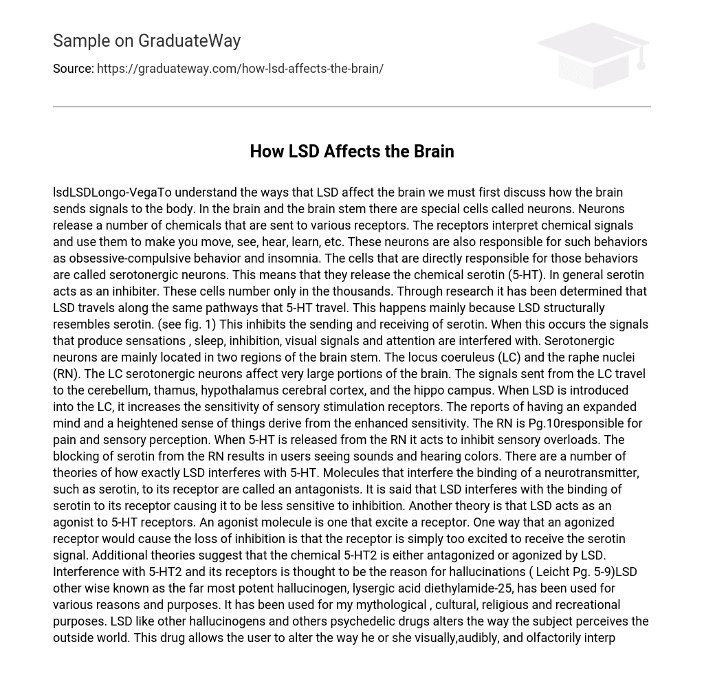 How LSD Affects the Brain