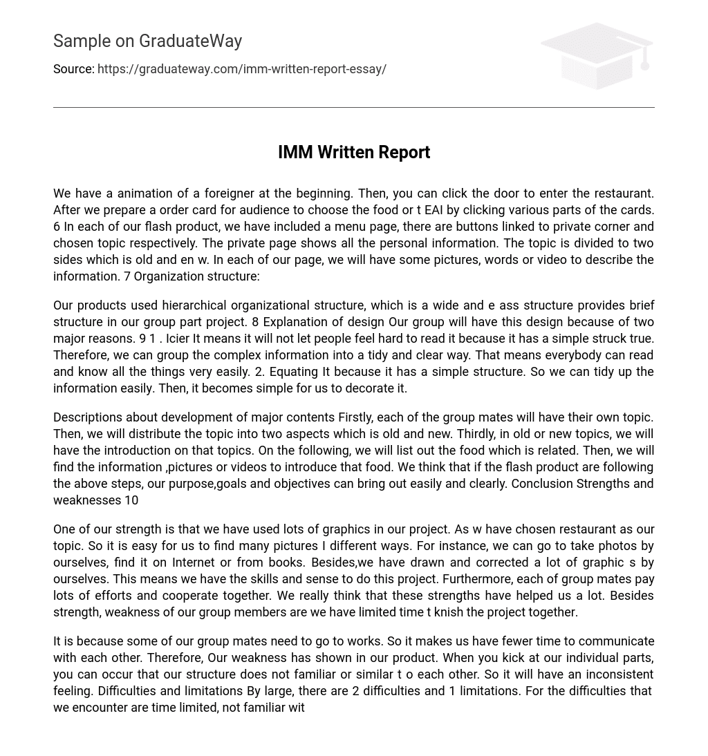 IMM Written Report