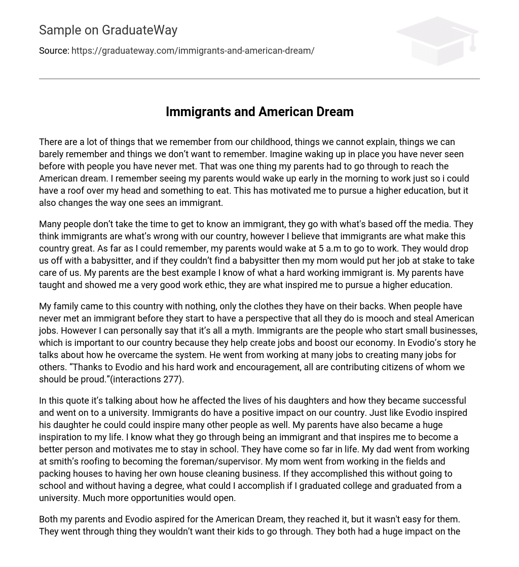 essay about immigrants problems